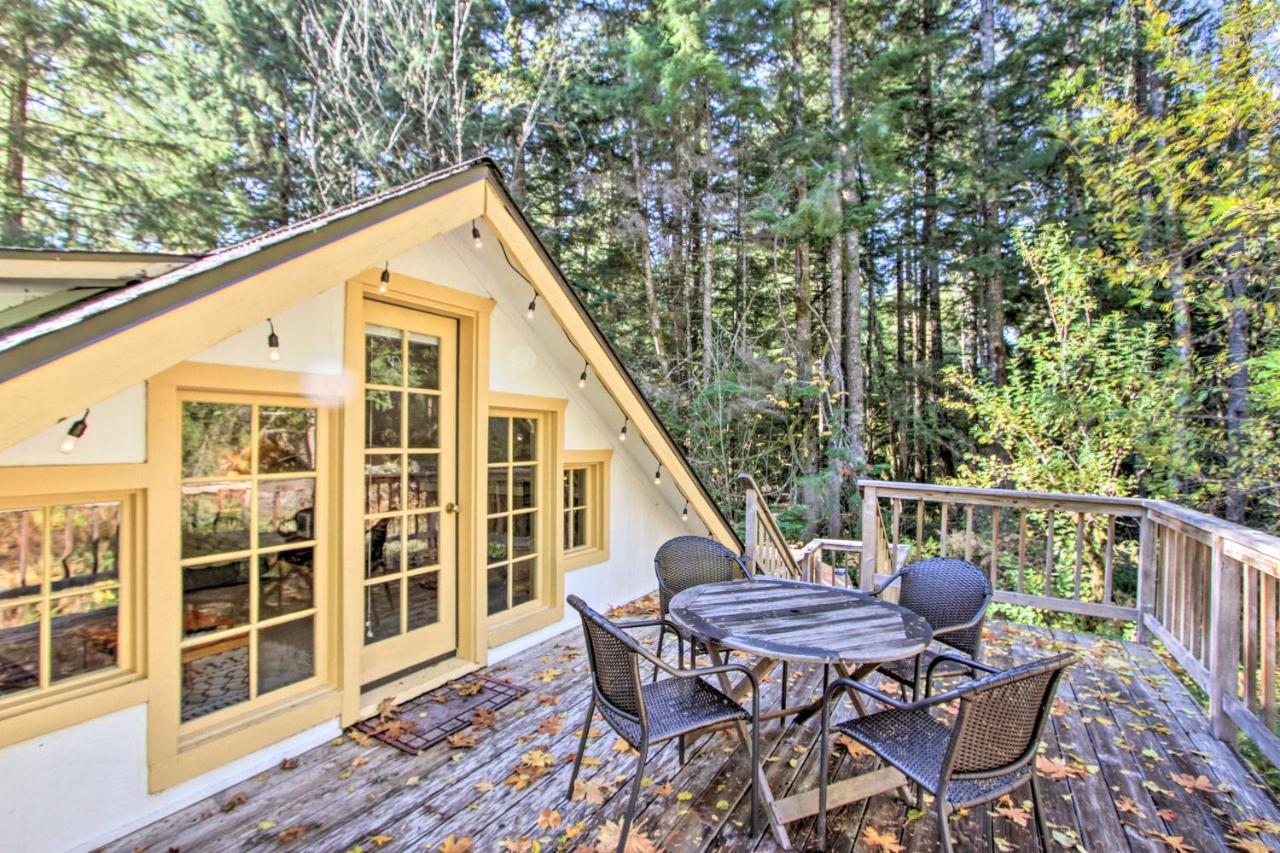 Owls Nest Studio With Hot Tub Hike Nearby! Ashford Exteriér fotografie