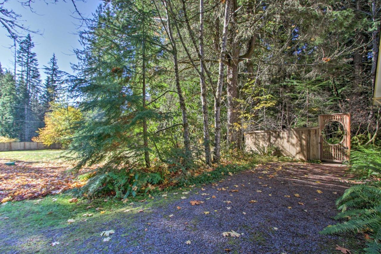 Owls Nest Studio With Hot Tub Hike Nearby! Ashford Exteriér fotografie
